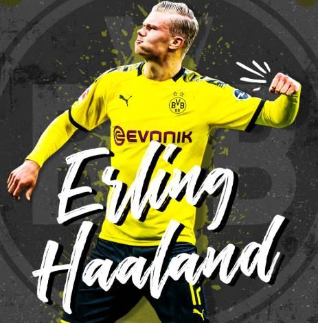 长期再造机 长期再造机